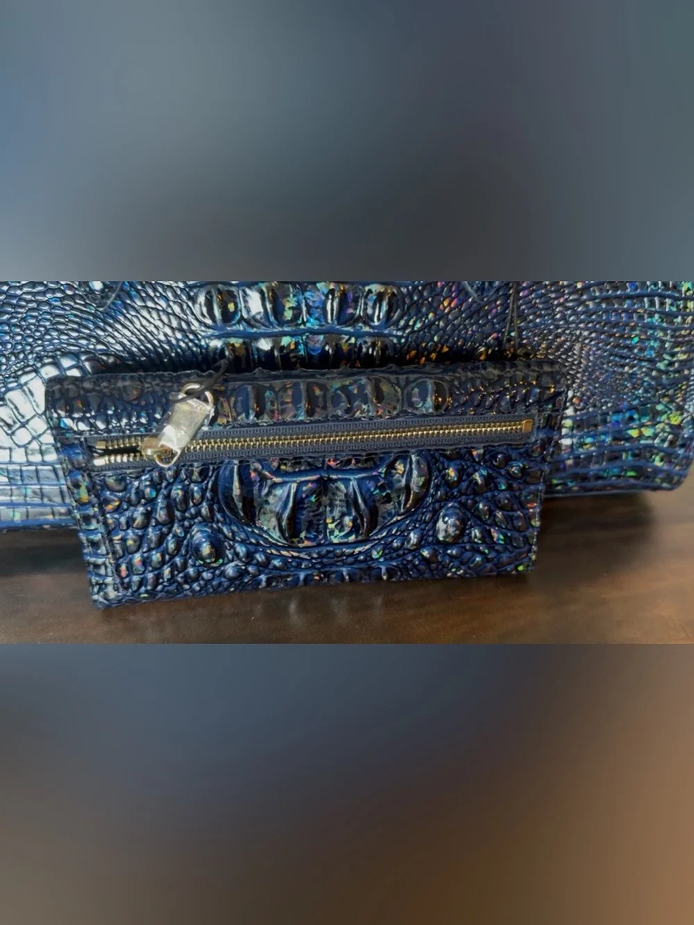 Brahmin nwt sophia